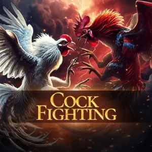 Cockfighting